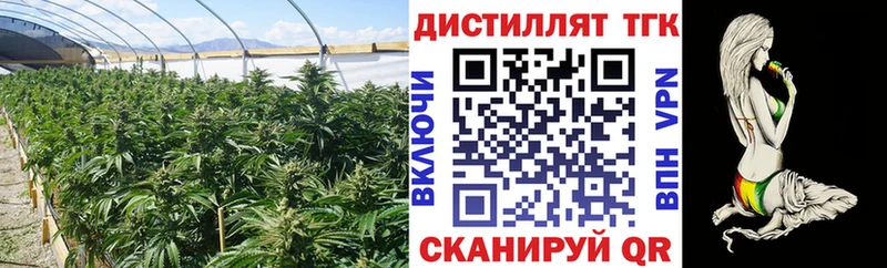 KRAKEN маркетплейс  Новый Оскол  ТГК THC oil 