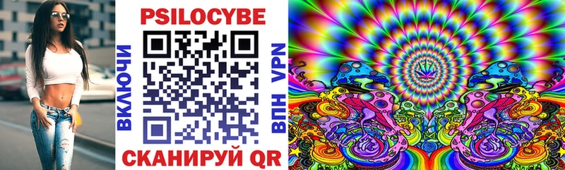 Псилоцибиновые грибы Cubensis  Новый Оскол 